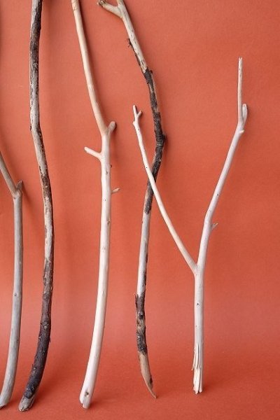 画像5: 小枝流木セット (5)