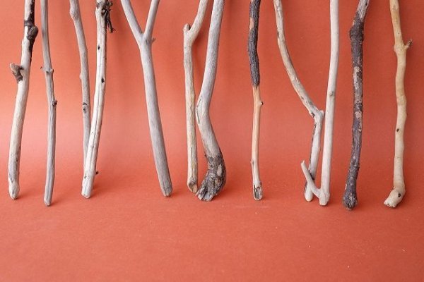 画像5: 小枝流木セット (5)