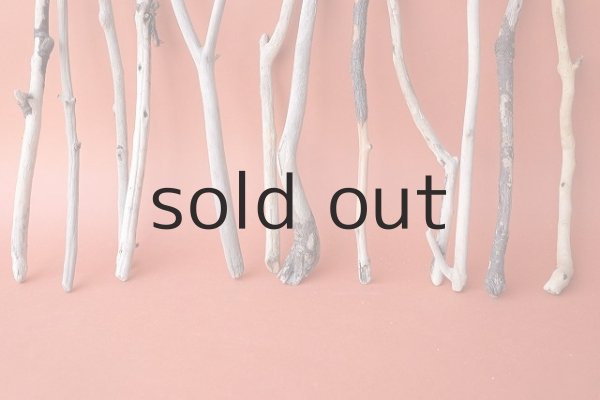 画像5: 小枝流木セット (5)