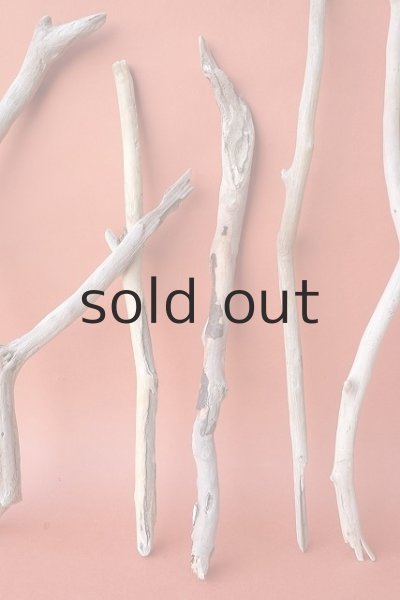 画像3: 小枝流木セット (3)