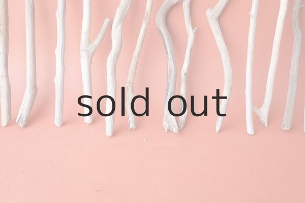 画像5: 小枝流木セット (5)