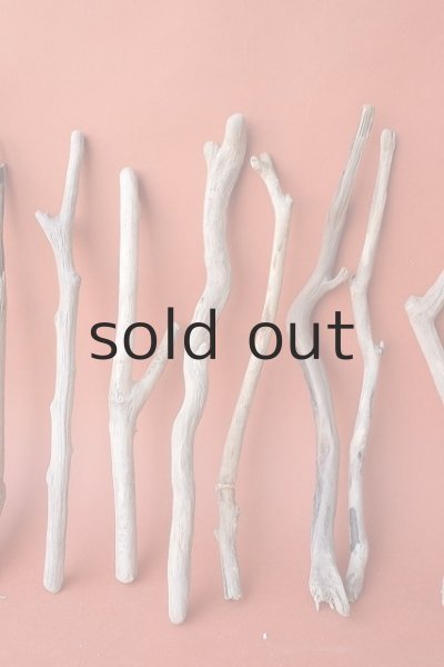 画像3: 小枝流木セット (3)