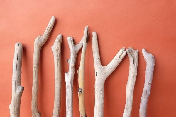 画像3: 小枝流木セット (3)