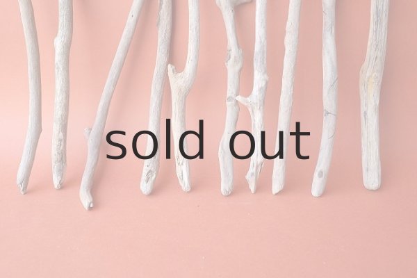 画像2: 小枝流木セット (2)