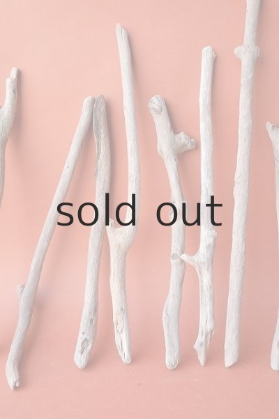 画像5: 小枝流木セット (5)