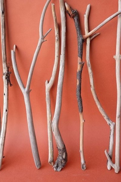 画像3: 小枝流木セット (3)