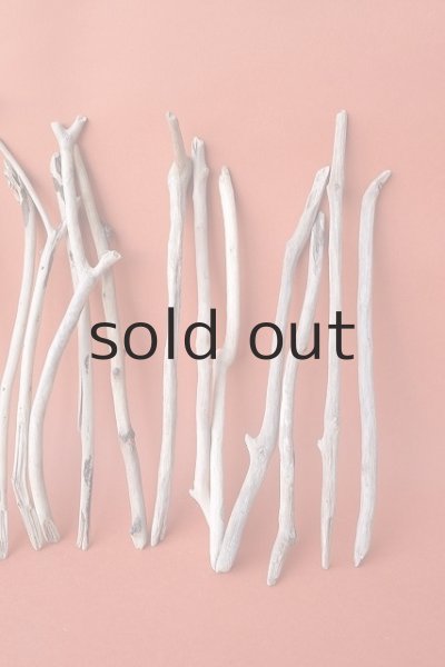 画像5: 小枝流木セット (5)