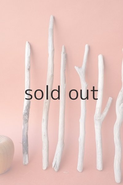 画像2: 小枝流木セット (2)