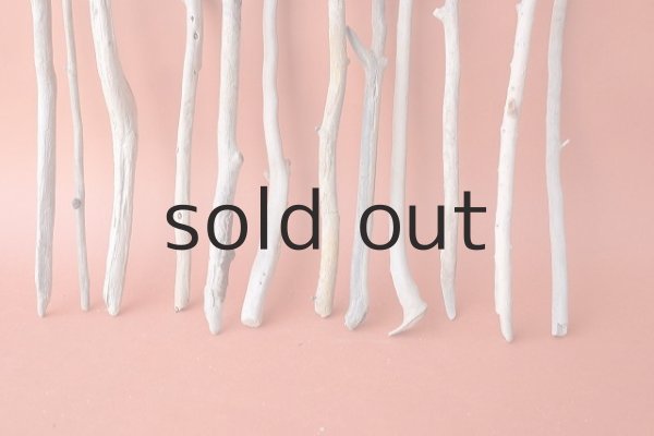 画像2: 小枝流木セット (2)