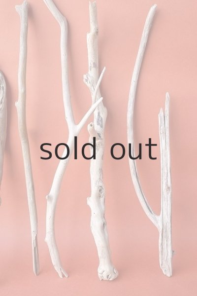 画像4: 小枝流木セット (4)