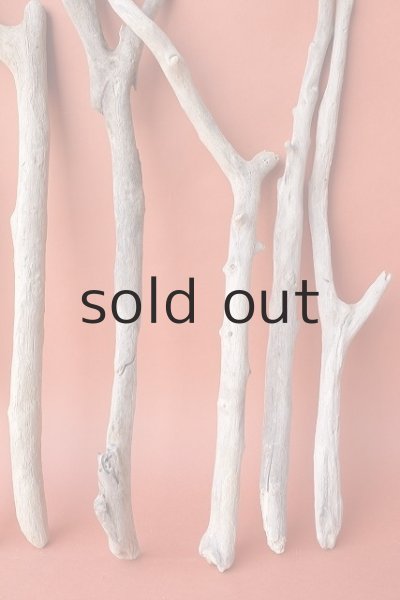 画像5: 小枝流木セット (5)