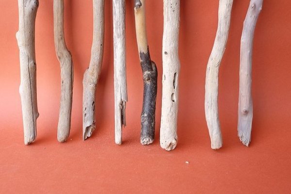 画像2: 小枝流木セット (2)