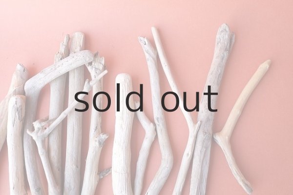 画像5: 小枝流木セット (5)