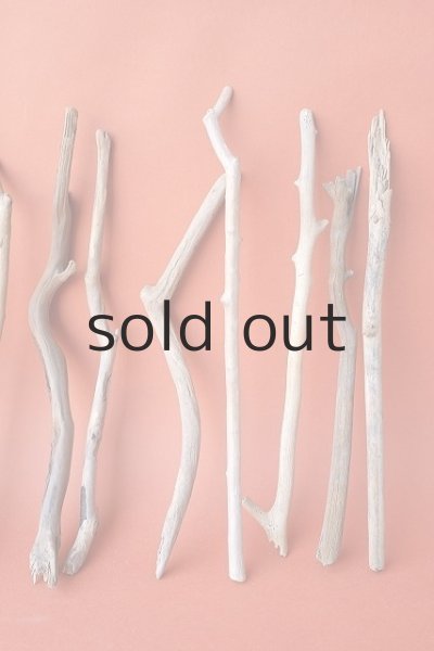 画像4: 小枝流木セット (4)