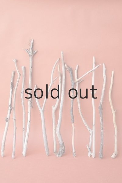 画像1: 小枝流木セット (1)