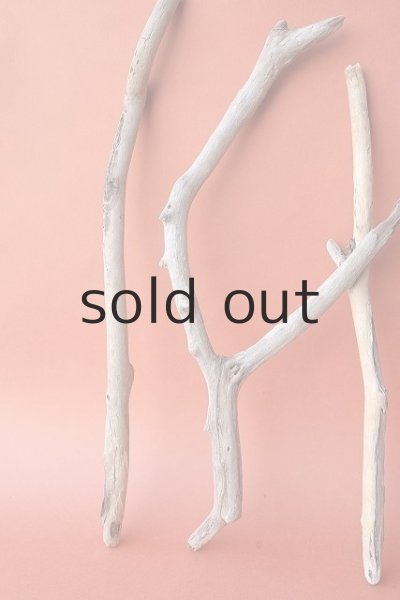 画像2: 小枝流木セット (2)