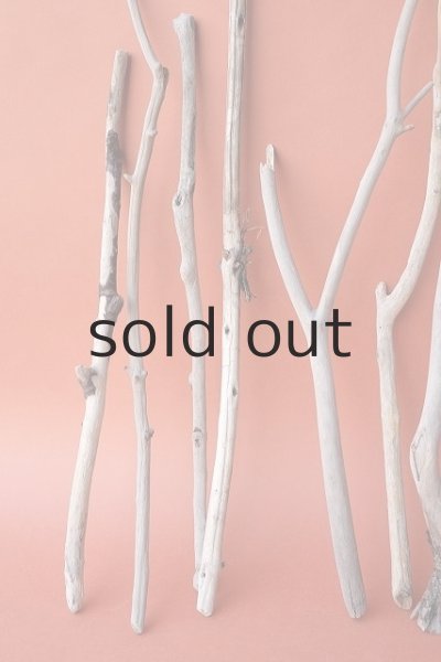 画像2: 小枝流木セット (2)