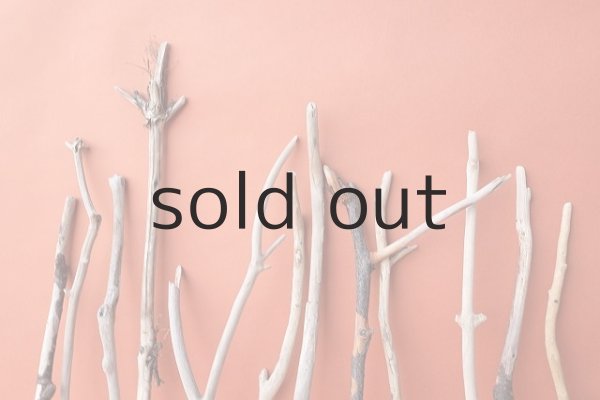 画像6: 小枝流木セット (6)