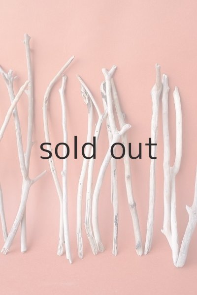 画像4: 小枝流木セット (4)