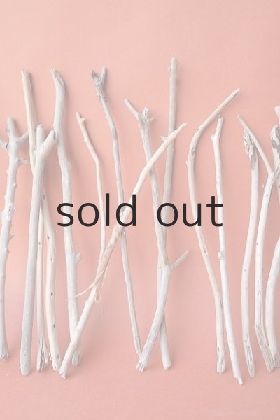 画像3: 小枝流木セット (3)