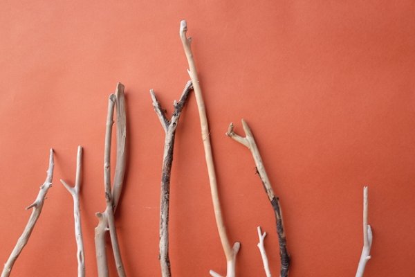 画像3: 小枝流木セット (3)