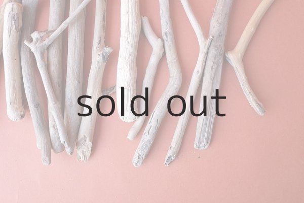 画像4: 小枝流木セット (4)