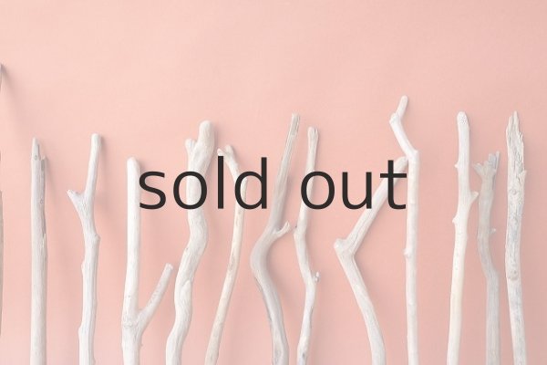 画像6: 小枝流木セット (6)