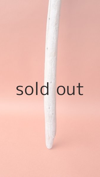 画像2: 棒流木 (2)