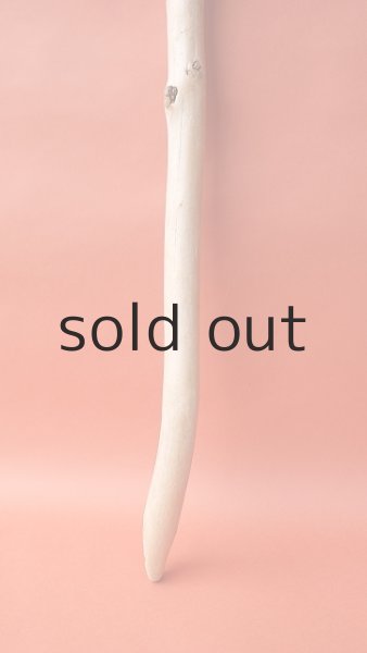 画像2: 棒流木 (2)