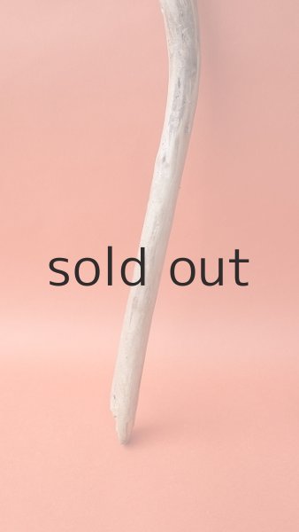 画像2: 棒流木 (2)