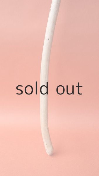 画像2: 棒流木 (2)