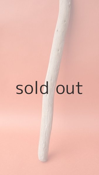 画像2: 棒流木 (2)