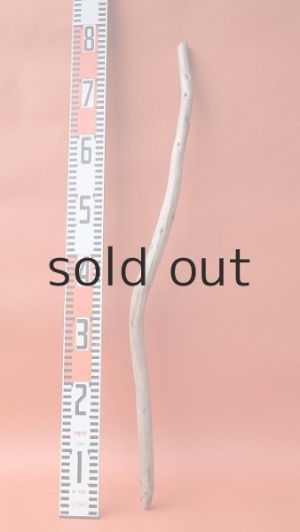 画像3: 棒流木 (3)