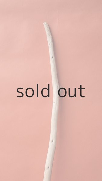 画像4: 棒流木 (4)