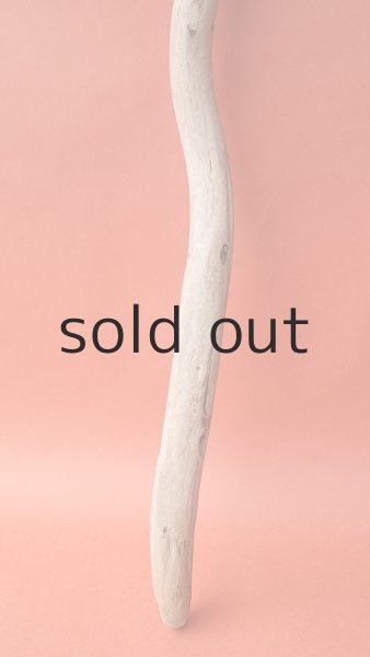 画像2: 棒流木 (2)