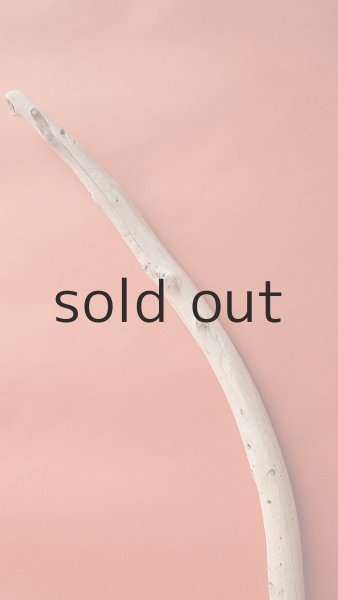 画像3: 棒流木 (3)