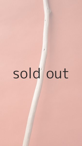 画像3: 棒流木 (3)