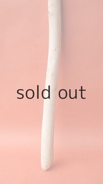 画像2: 棒流木 (2)