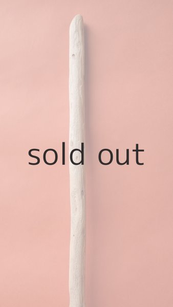 画像3: 棒流木 (3)