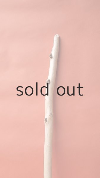 画像3: 棒流木 (3)