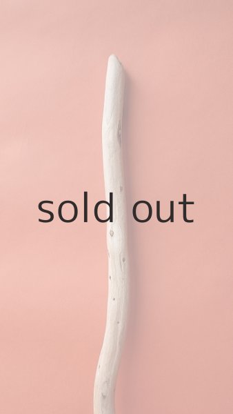 画像3: 棒流木 (3)