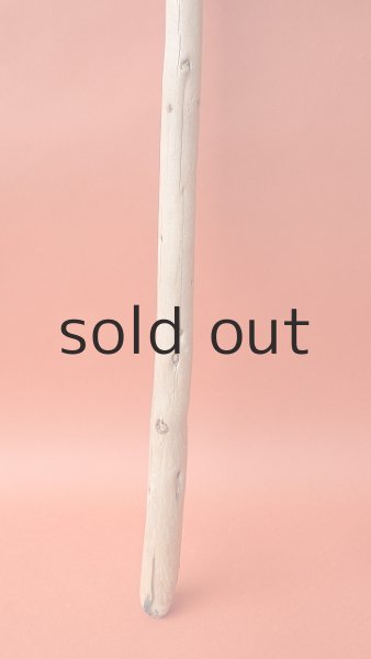 画像2: 棒流木 (2)