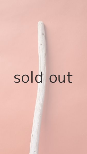 画像3: 棒流木 (3)