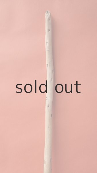 画像3: 棒流木 (3)