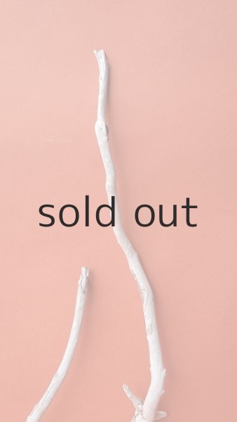 画像4: 流木根セット (4)