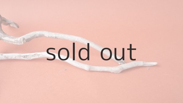 画像7: 流木根セット (7)