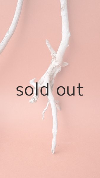 画像3: 流木根セット (3)