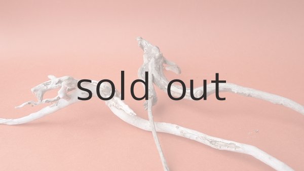 画像6: 流木根セット (6)