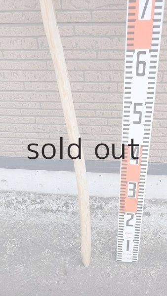 画像5: 棒流木 (5)