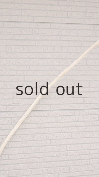 画像4: 棒流木・長尺 (4)